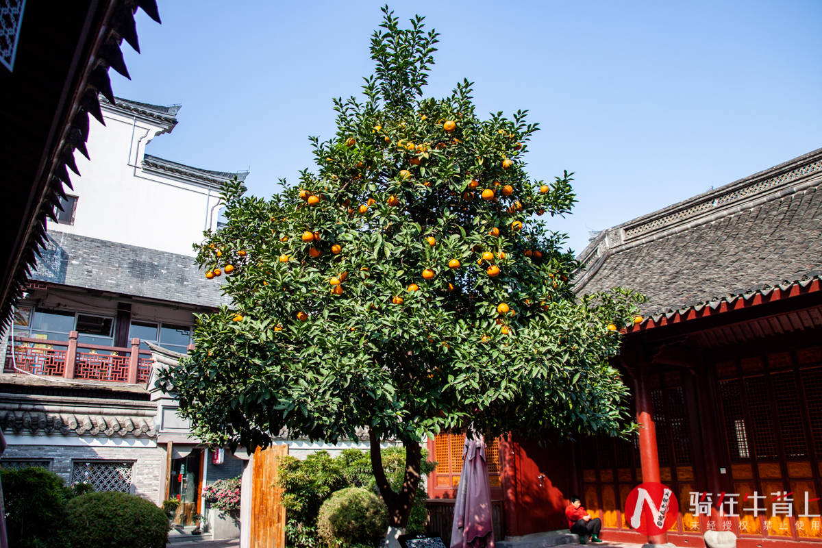 中西|藏在宁波闹市区的古建筑，1200年历史保存完好，如今成为商业街