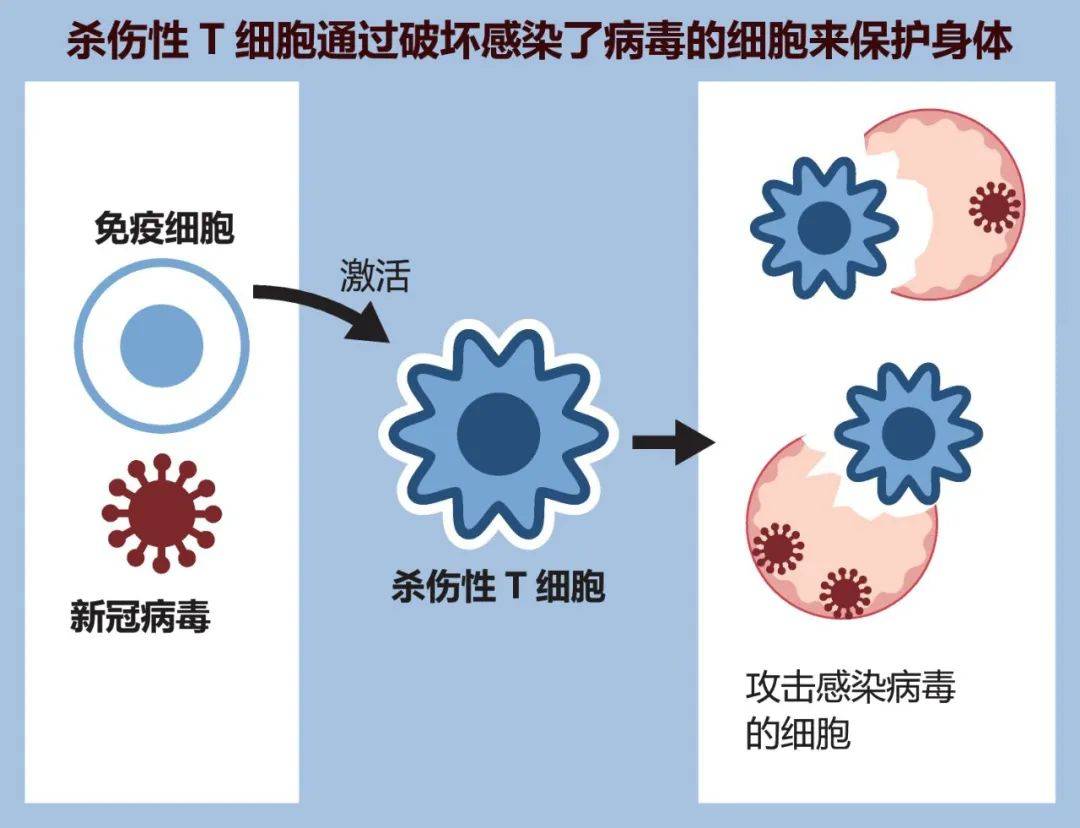 揭秘为什么这些人密接后却没感染：或与颜值、血型、遗传有关……