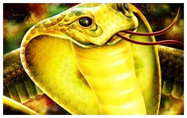 黄蛇入屋，梦境中的警示与家庭力量的觉醒