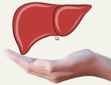肝脏|肝癌多是拖出来的？提醒：身体出现3异常，或是肝脏正在“求救”