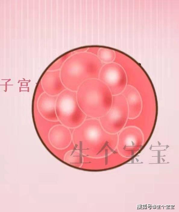 为什么刚怀孕有粉色血 为什么刚怀孕有粉色血