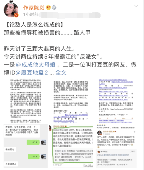 江歌|作家陈岚怒斥江歌妈妈，两位路人甲只因多说一句，家人就被她人肉