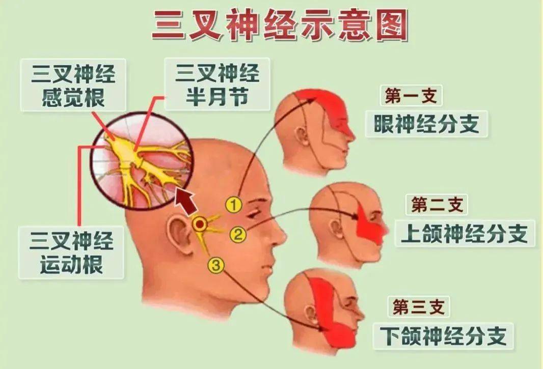 脸颊|七旬古稀老人脸颊如刀割火烧 医生妙手解除“天下第一痛”