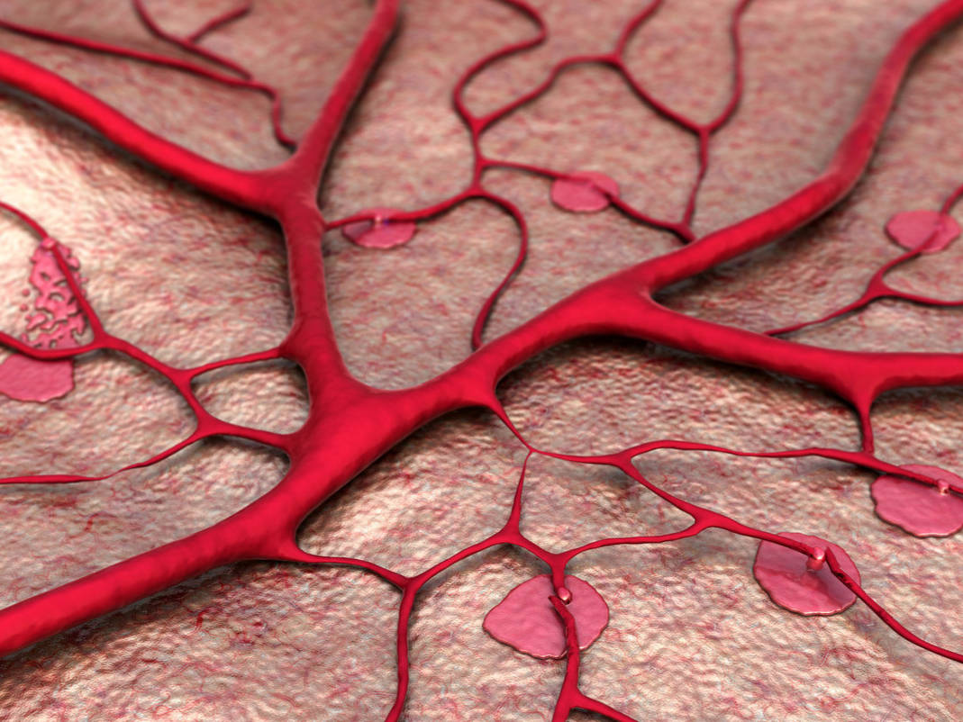 红酒能软化血管是谣言心血管医生告诉你中药养生可以吃肉苁蓉