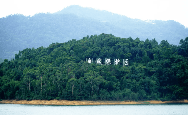 世间生物繁多_世间繁多生物图片_世间繁多生物图片大全