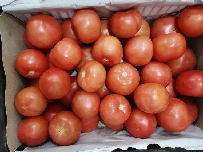 杂粮|【一周食谱】锦艺实验小学的“美好食光”2022.3.07~2022.3.11