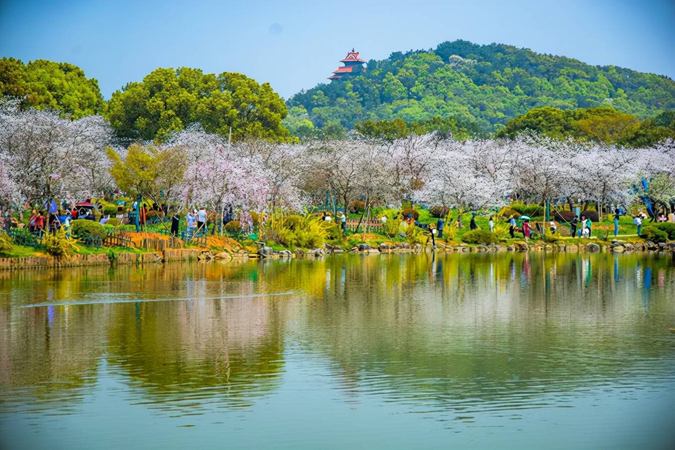 武漢東湖不僅只有櫻花園,航拍處處都是風景,值得你細細品味_雲南旅遊