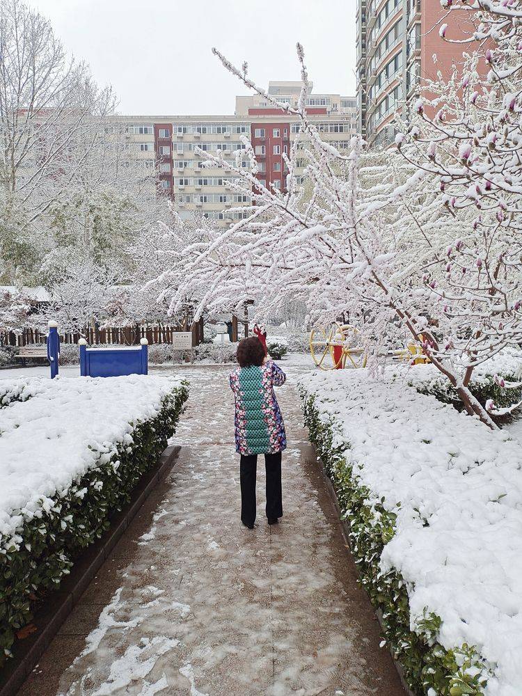 下集|一场雪，让这里的春天真美