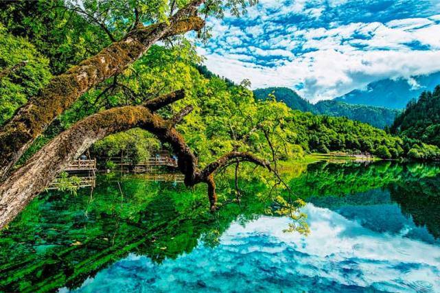 原创3月19号起属猴牛兔开运指南贵人垂爱锦鲤翻身生财连连