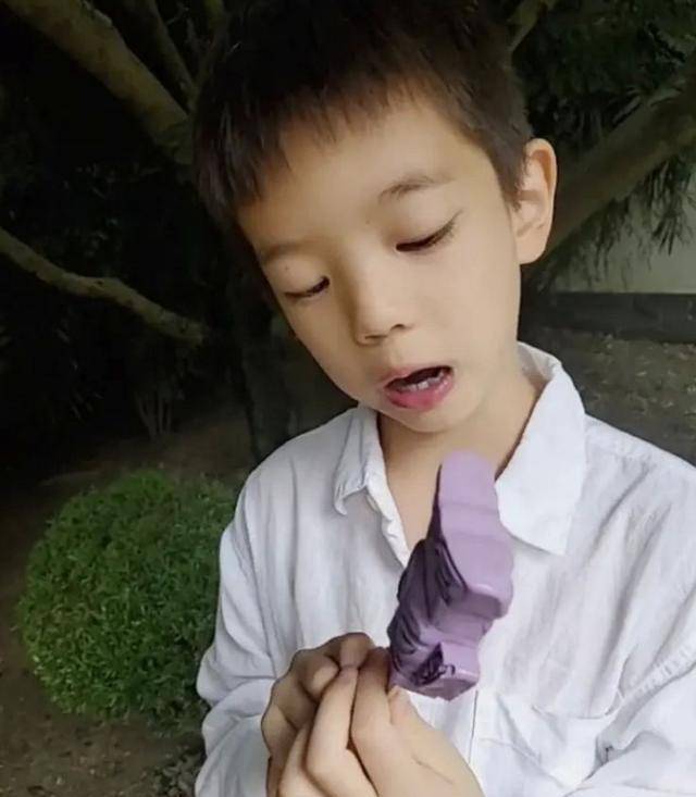 原创霍思燕发儿子视频小帅哥长大了被指撞脸李现