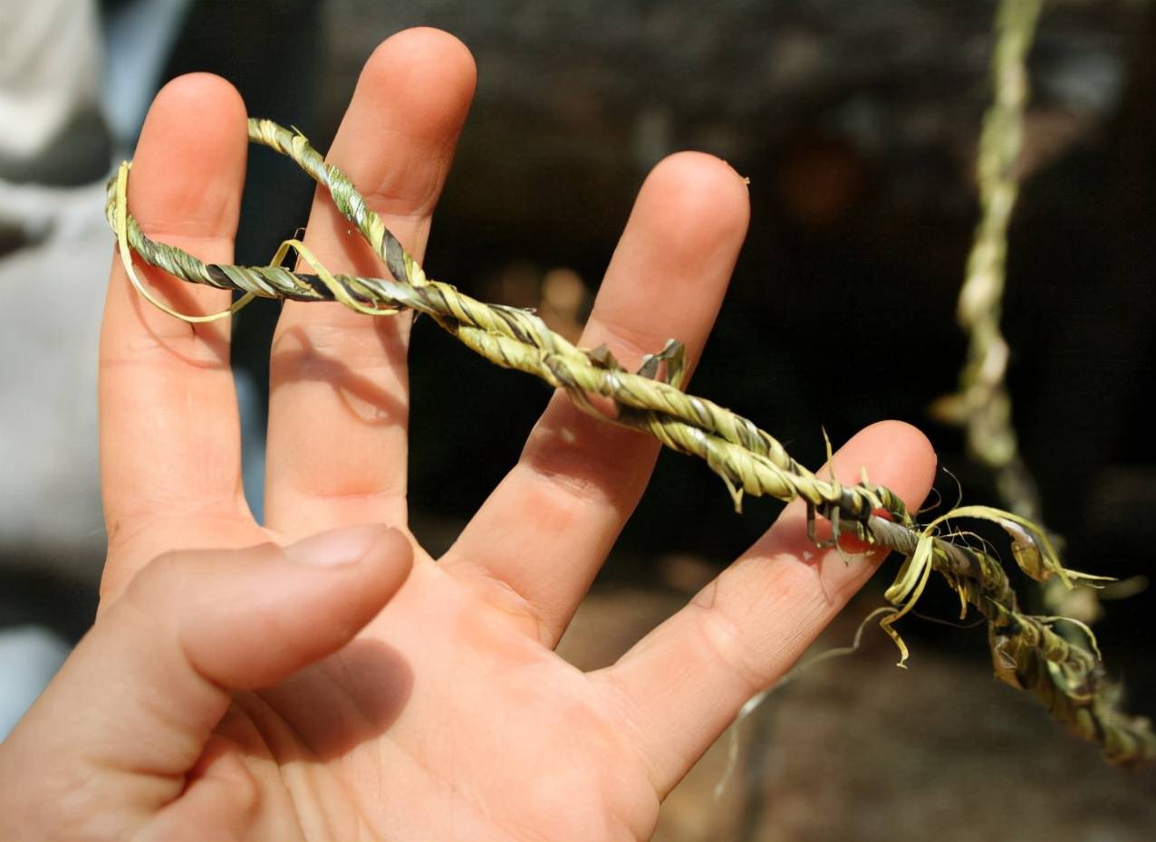 慢慢地,葛和麻也成为了百姓的日常穿着与祖先相比,古人们发现将葛藤