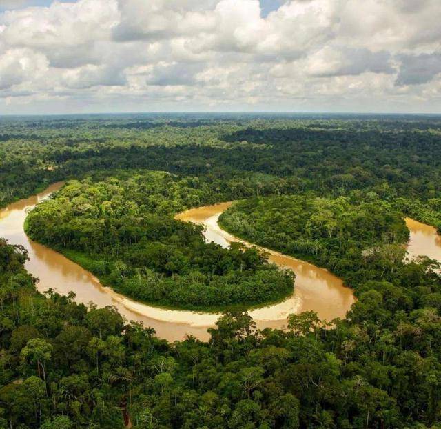 地球之肺亚马逊雨林，绿色的天堂却是人类禁区，到底有多恐怖？