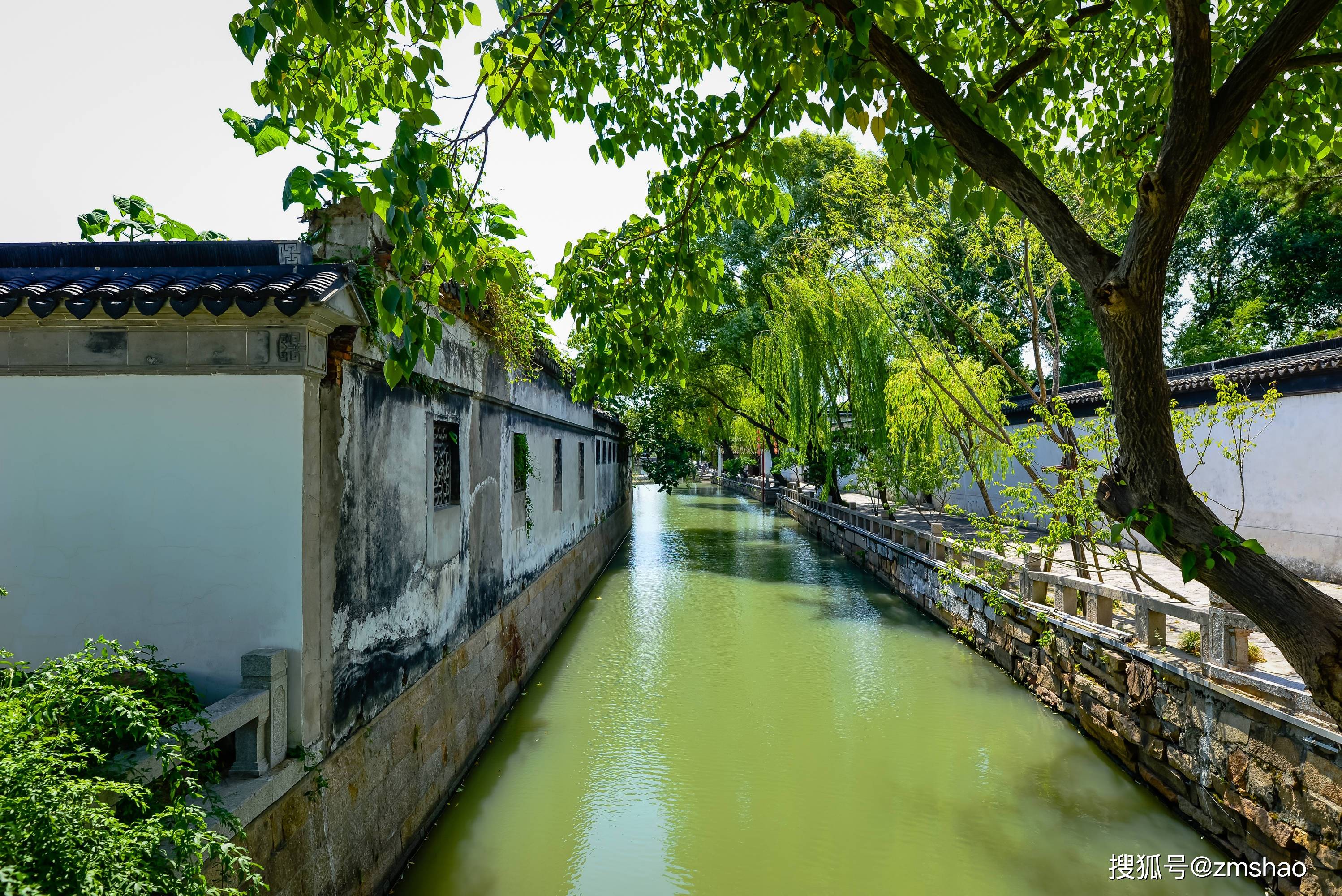 人家|江南唯一有驳岸码头的园林：三面都被河流包围，尽显姑苏人家枕河