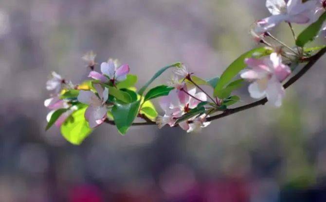 观点丨吴颍惠：面对未来教育挑战，教师需提升信息素养能力