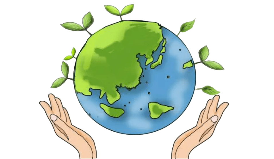 的绿植保护身边的每一缕绿色尽可能节约身边的森林资源守护地球"绿肺"