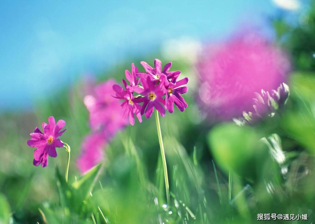 [转载]一个人最大的成熟，是克制自己的优越感｜转载网络