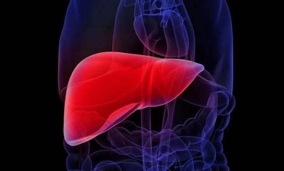 肝脏|肝脏的健康和我们生活习惯息息相关，这些损害肝脏的行为，你有吗