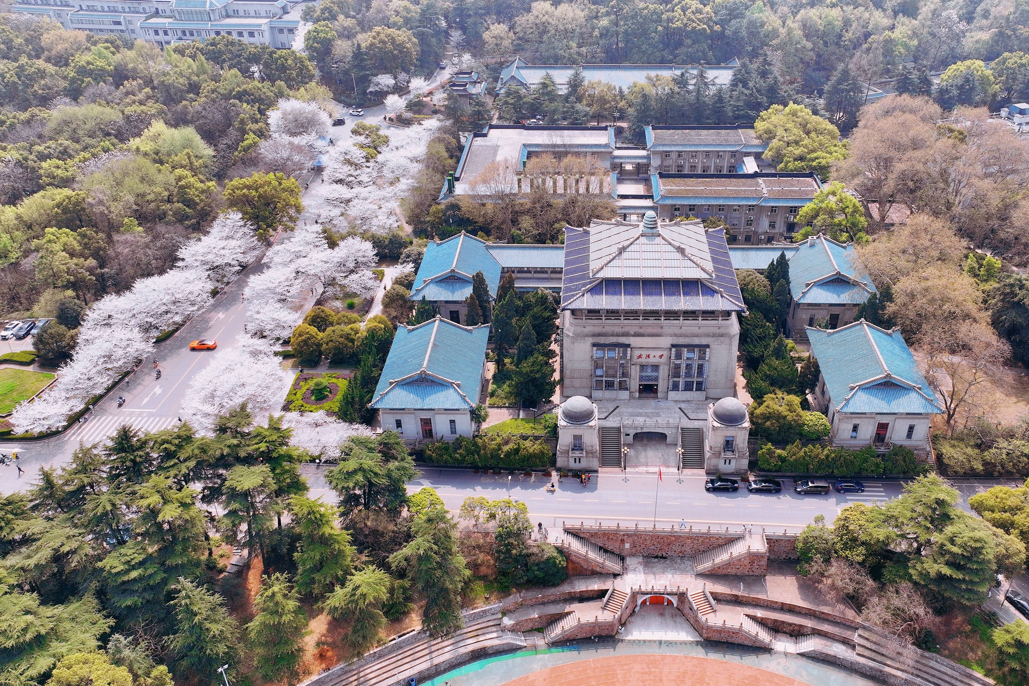 武汉大学樱花盛开，这座百年学府充满了静谧和唯美，宛如童话世界