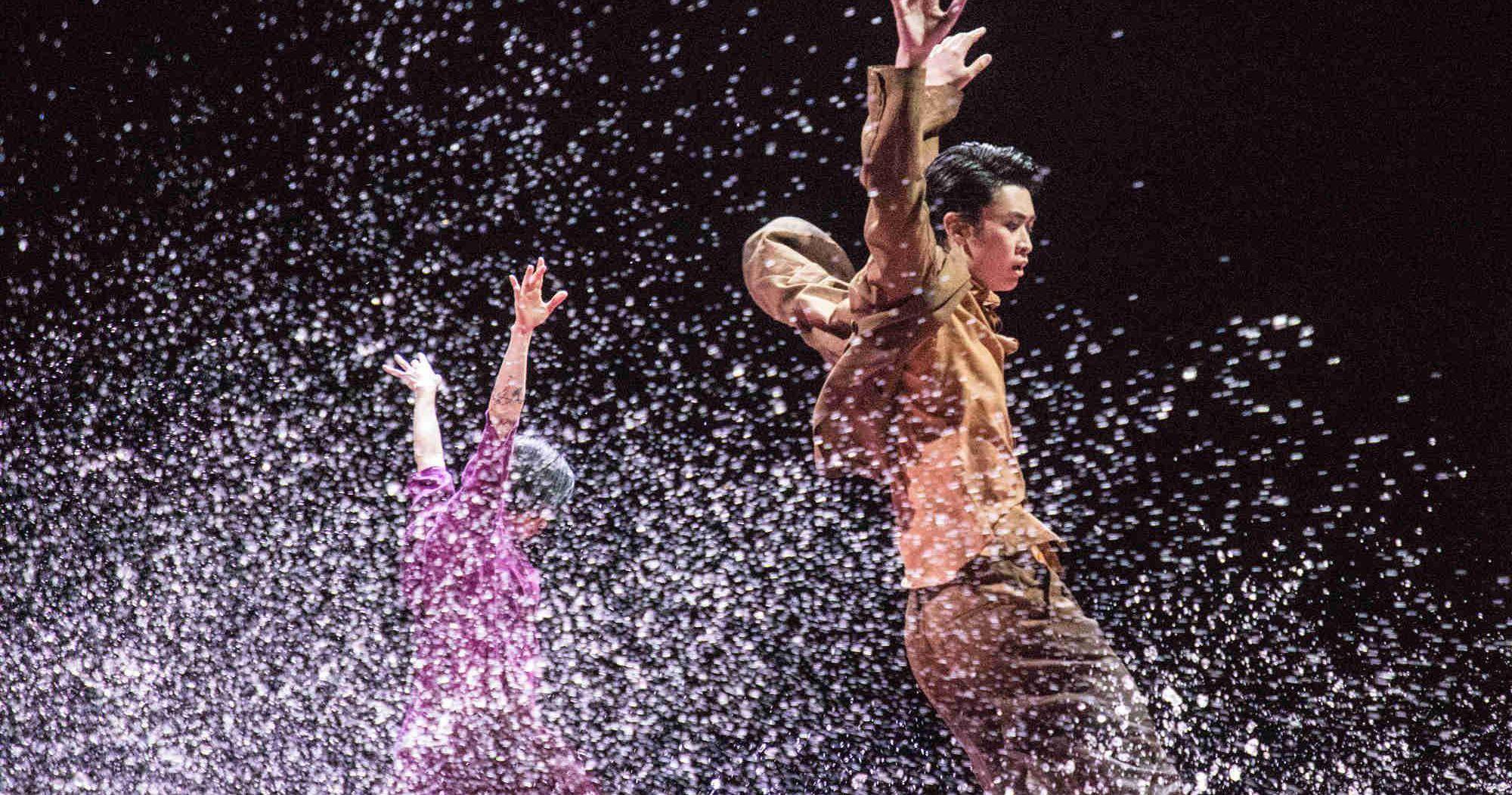 跳出大饭店又进红楼梦黎星让观众在剧场感受舞蹈风暴