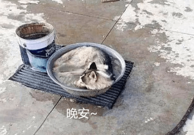 水就刚打好水准备洗车，男子中途上了个洗手间，回头一看直接炸毛