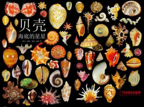 贝类动物会换壳吗贝壳的作用介绍