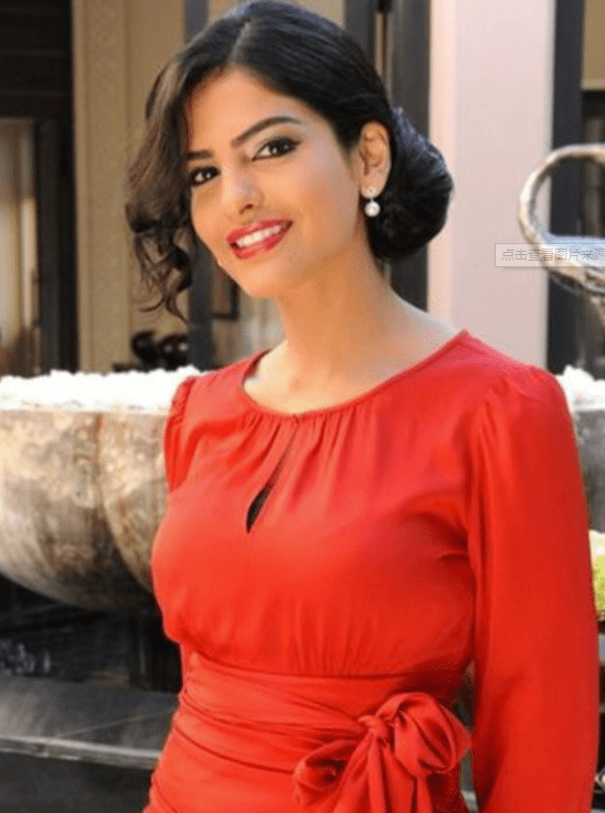 身家237亿美金,奔驰车镶30万颗钻石,娶小28岁超模_瓦利德_阿美_沙特