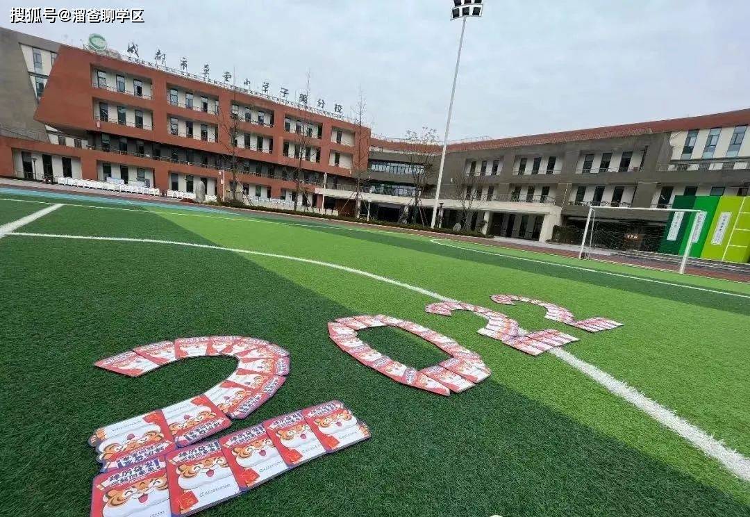 已执行幼升小多校划片区域大盘点_小学_天府_华阳