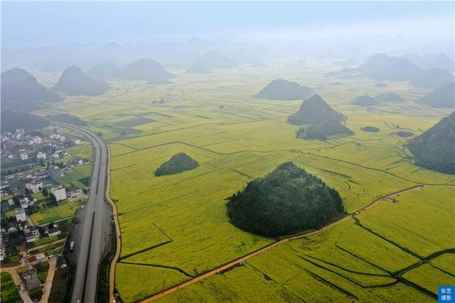 门票|罗平油菜花堪称东方大花园：满目金黄香百里，一方春色醉千山