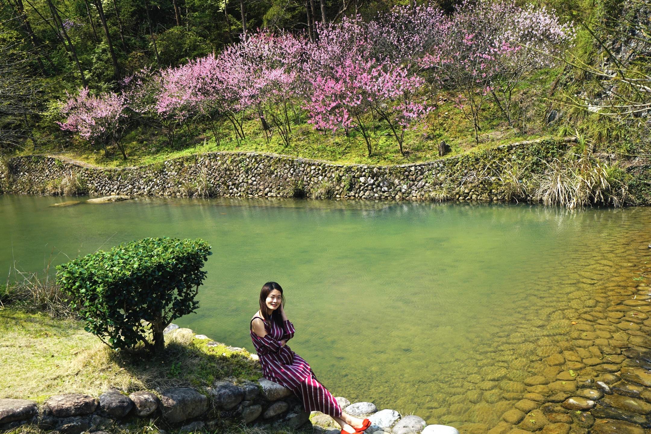 2022年温州的春天很美，推荐几处适合亲子游、闺蜜游的花海