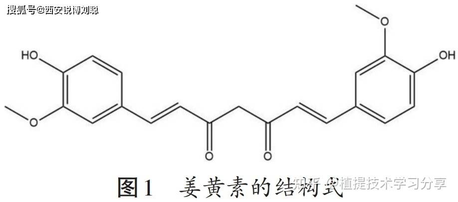 39 u,化学结构式如图1所示,它含有一个特殊的1,7-二芳