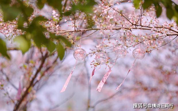 的一首詩,也是最後的絕唱,生命就像花兒一樣枯萎凋謝_人生_落花_文章