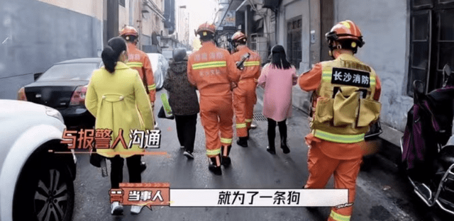 因为|没了《快本》湖南台也能翻盘,无明星阵容成综艺王炸,真实感赢了??