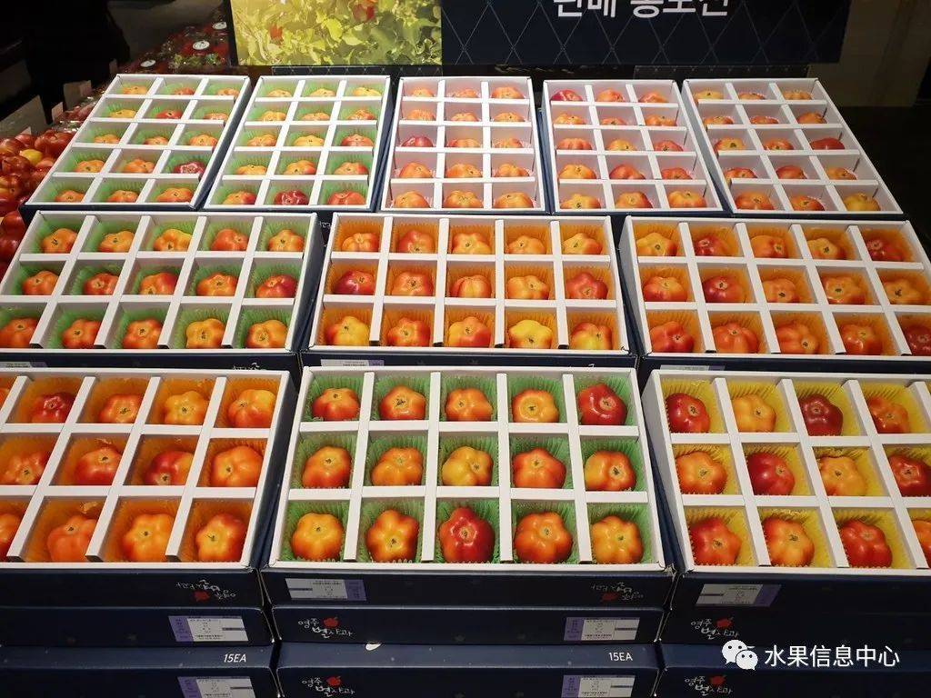 火爆韩国的超人气星星迷你苹果