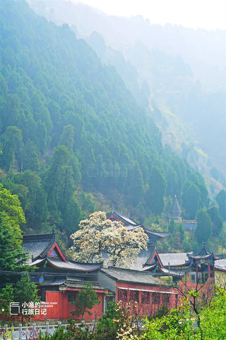 五台|很难想象，西安坐公交车可以到的秦岭古寺，藏着绝美风景