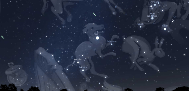 春天夜空的威猛犬星座,隐藏着四只天狗(慎点)_天狼星_恒星_天空