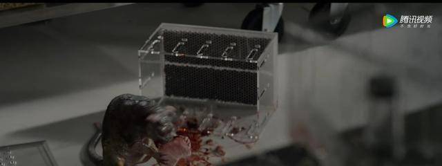 因为|超凡蜘蛛侠确实比不上第一代蜘蛛侠