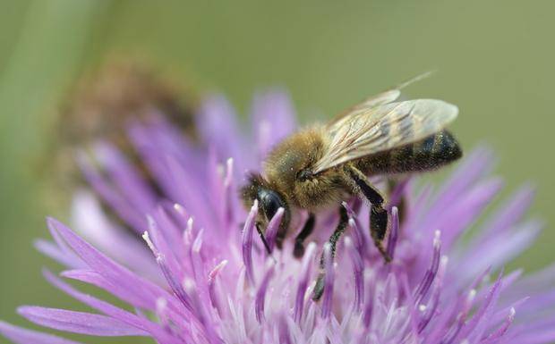 通篇写得很深刻,没有经历还真读不懂_一只小蜜蜂_人生_作品