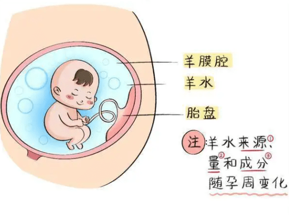 羊水栓塞有多可怕？这三类宝妈要注意，意外可能就在身边