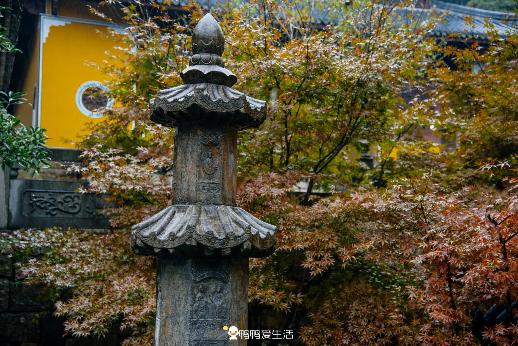 浙江最仙的一座城市，有400多座寺庙，国清寺藏于山间低调有内涵