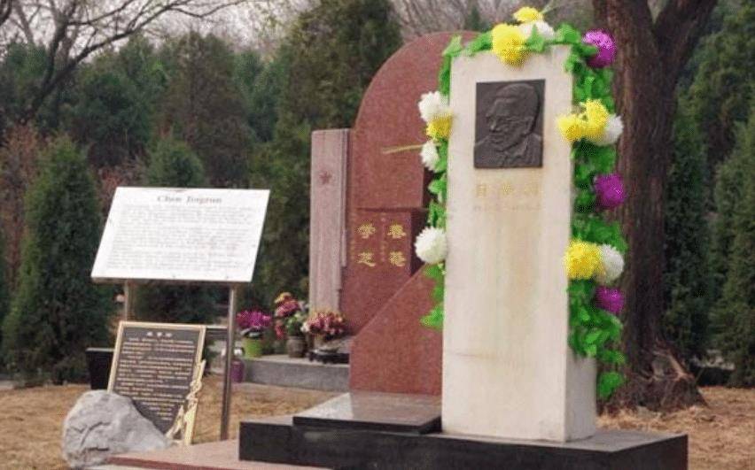 原创陈景润之子陈由伟高中学文大学数学系归来终于有脸为爸扫墓