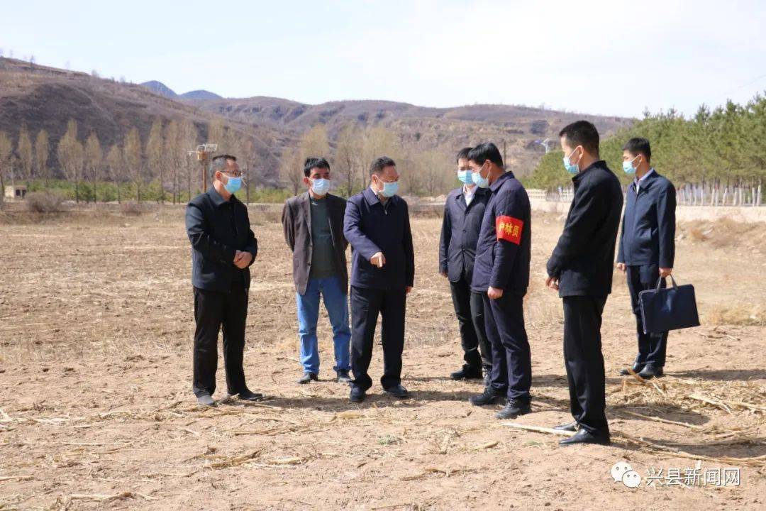 兴县:乔云在晋绥解放区烈士陵园调研并督导检查东会乡护林防火等工作