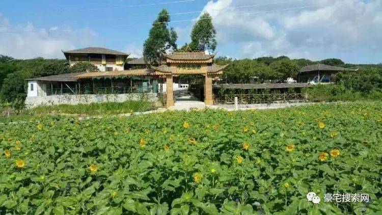 在果园良田中摘摘果子,亲子游玩圣地,位于惠州市霞涌镇小径湾,生态