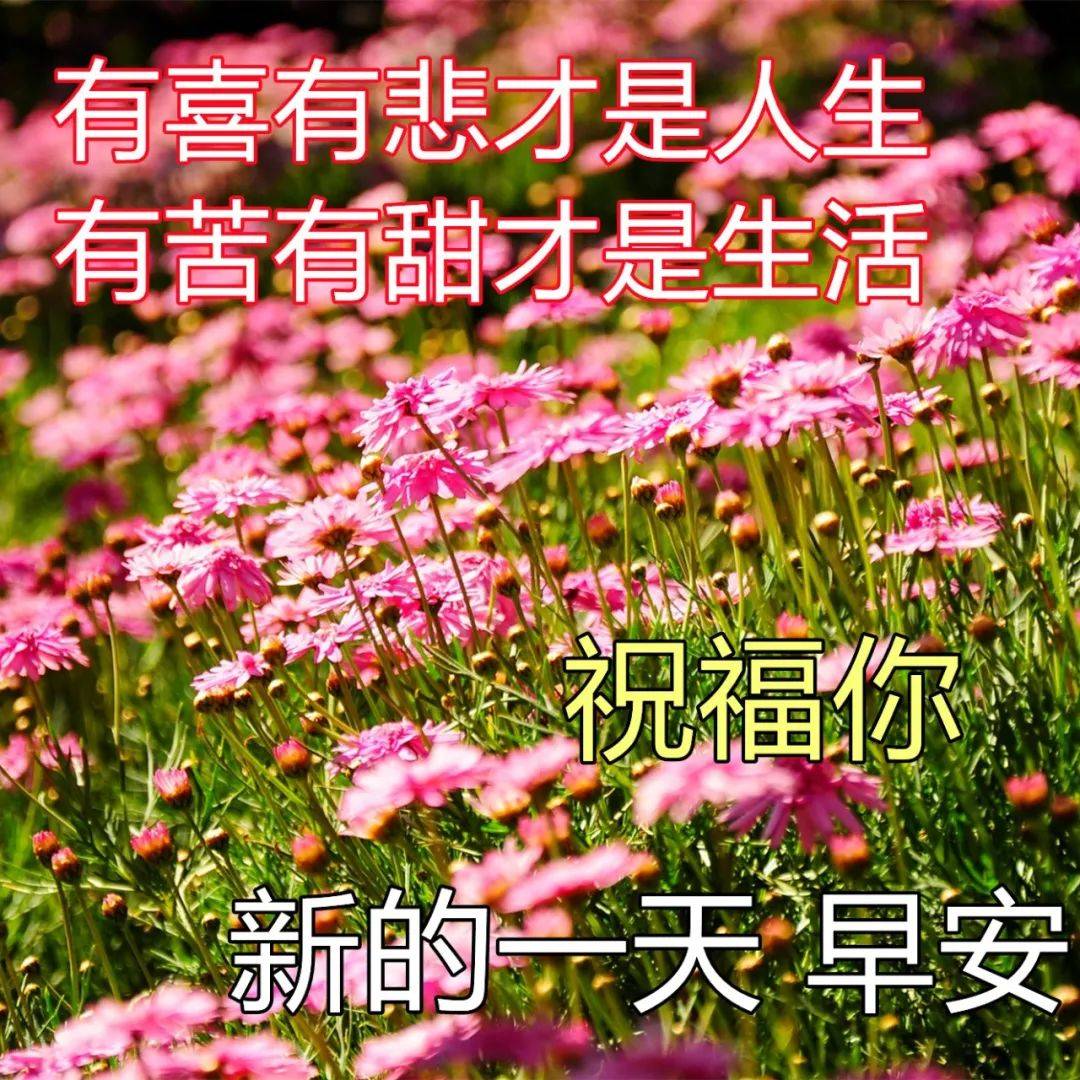 原创真挚的早安祝福文字图片深深的早上好问候美图