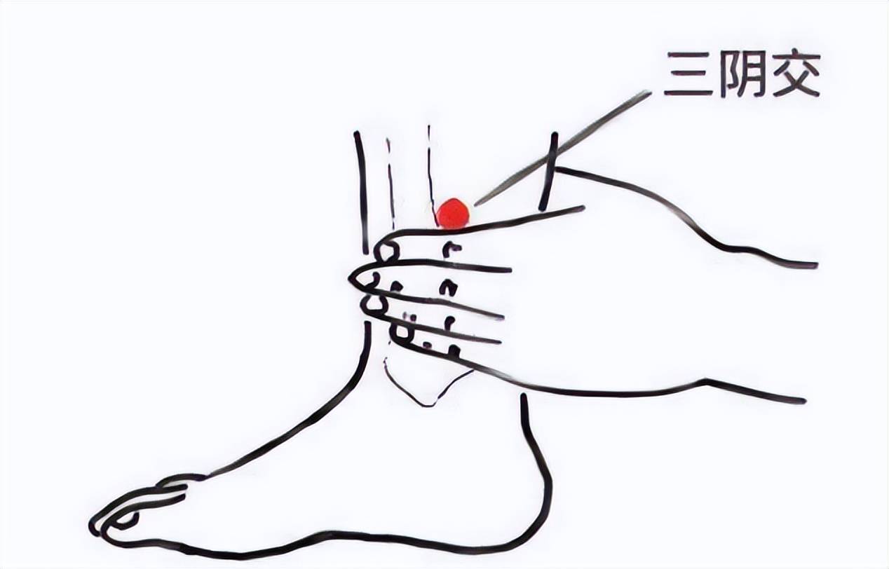 当令_调节_按摩