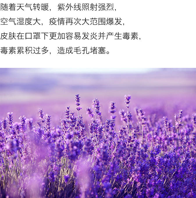 瑞士瑞士净透美肌·艾贝诗自然润泽