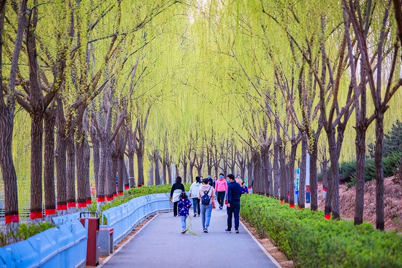 万木争|石家庄有一座翠屏湿地公园，风景秀丽免门票，是踏青赏花的好去处