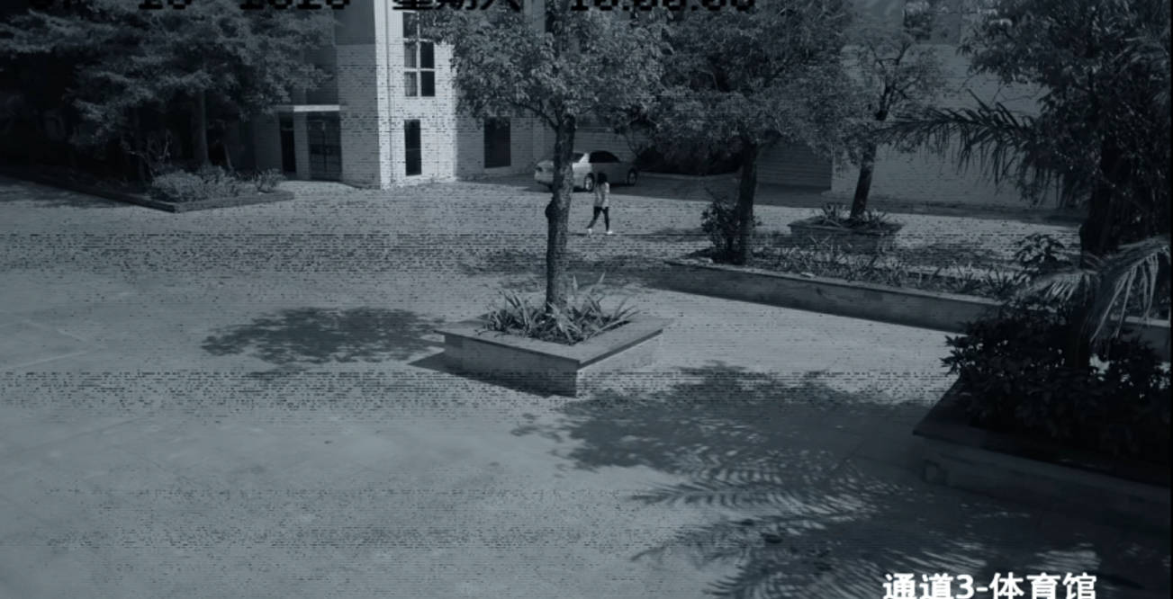 因为|《女心理师》开播:倪萍老态明显,杨紫人设颠覆,章若楠表现惊艳!