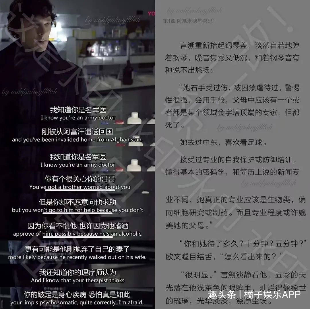 2013年,她的懸愛小說《親愛的阿基米德》出版,隨後被讀者發現融梗抄襲