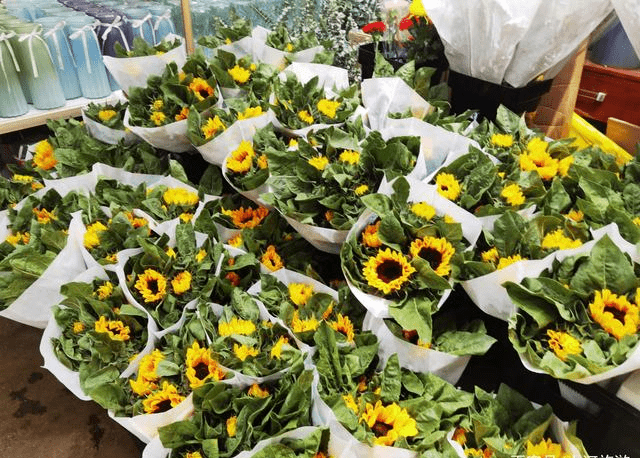 喜迎三八节 鲜切花市商户忙 向日葵太阳花 受宠 身价翻倍 花束 鲜花 价格