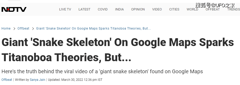 Giant 'Snake Skeleton' On Google Maps Sparks Titanoboa Theories, But